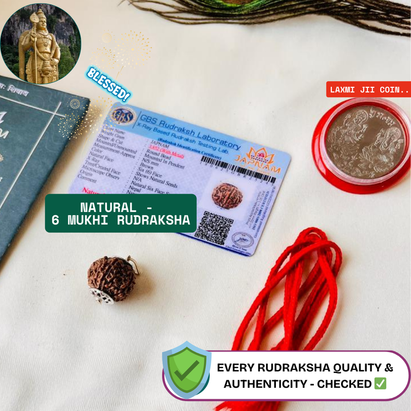 6 Mukhi Rudraksha (Original Nepali Origin & Lab Certified) + 🎁 Gift – Laxmi Ji Silver-Plated Coin