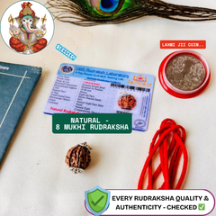 8 Mukhi Rudraksha (Original Nepali Origin & Lab Certified) + 🎁 Gift – Laxmi Ji Silver-Plated Coin