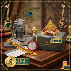 Dhan Laxmi Pyramid (For Wealth, Financial Stability and Prosperity) + Modern 5 Mukhi Rudraksha Bracelet + 𝐅𝐫𝐞𝐞 🎁 Laxmi Ganesha Silver Plated Coin