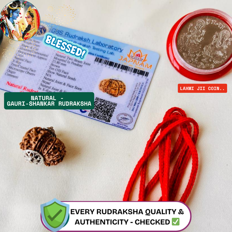Gauri Shankar Rudraksha With (Lab Certified - Nepali origin) - Divine Fusion of Shiva & Shakti + 🎁Gift – Laxmi Ji Silver-Plated Coin