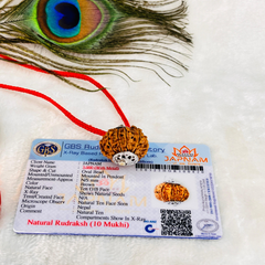 10 Mukhi Rudraksha (Original Nepali Origin & Lab Certified) + 🎁 Gift – Laxmi Ji Silver-Plated Coin