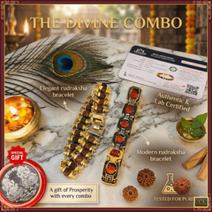 ✨ Modern Rudraksha Bracelet + Golden Elegant 5 Mukhi Bracelet Combo (Lab Tested) + Exclusive Mysterious 🎁 Gift