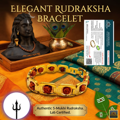 Gold Plated Essential 5 Mukhi Rudraksha Bracelet (Lab Certified) + Mysterious🎁Gift