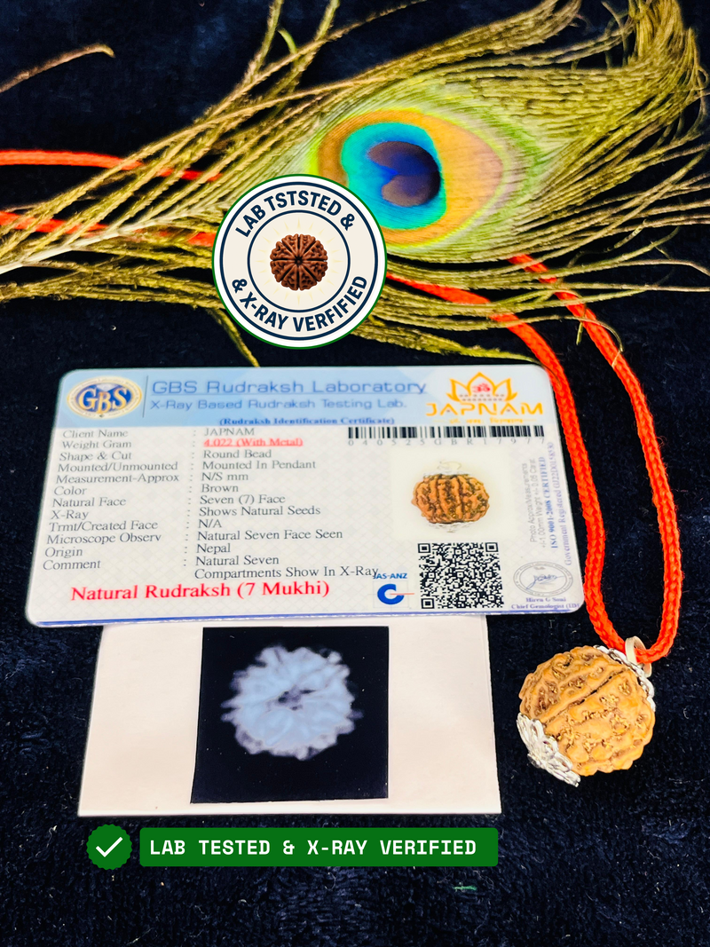(Lab Certified & X-Ray Verified) 7 Mukhi Rudraksha + Modern 5 Mukhi Bracelet With Free 🎁 Laxmi jii Silver Plated Coin