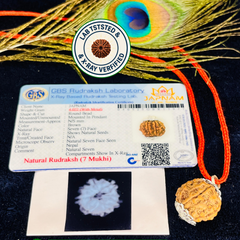 (Lab Certified & X-Ray Verified) 7 Mukhi Rudraksha + Modern 5 Mukhi Bracelet With Free 🎁 Laxmi jii Silver Plated Coin