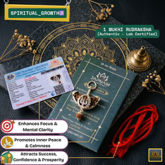 🌿 1 Mukhi Rudraksha (Original & Lab Certified) + 🪙 Gift – Laxmi Ji Silver-Plated Coin