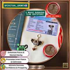 🌿 1 Mukhi Rudraksha (Original & Lab Certified) + 🪙 Gift – Laxmi Ji Silver-Plated Coin