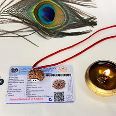 9 Mukhi Rudraksha (Lab certified - Nepali origin) + FREE (Modern Rudraksha Bracelet) + Mysterious 🎁 Gift!
