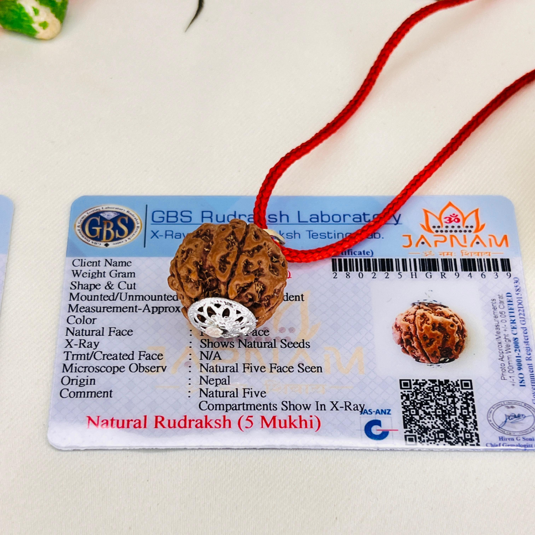 Divine Shield: 5 Mukhi Rudraksha (Lab Certified - Nepali origin) + FREE Modern Rudraksha Bracelet for Peace, Power & Protection! 🔱 + Mysterious🎁Gift