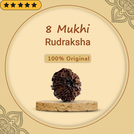 8 Mukhi Rudraksha With Lab Certified - Original + Mysterious🎁Gift