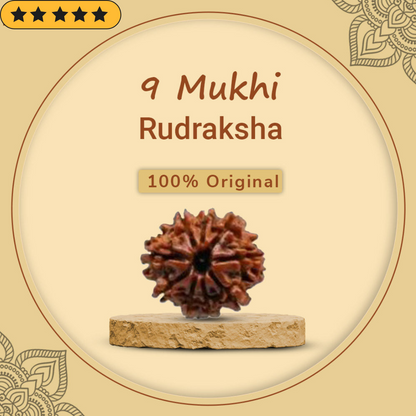 9 Mukhi Rudraksha With Lab Certified - Original + Free (Modern 5 Mukhi Rudraksha Bracelet) +  Mysterious🎁Gift