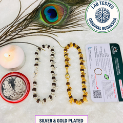 Gold Plated Elegant Rudraksha Bracelet for Women – (Buy 1 Get 1 Free + Mystery Gift!) Divine Style with Spiritual Benefits! ✨