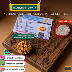 2 Mukhi Rudraksha (Original & Lab Certified) + 🎁 Gift – Laxmi Ji Silver-Plated Coin