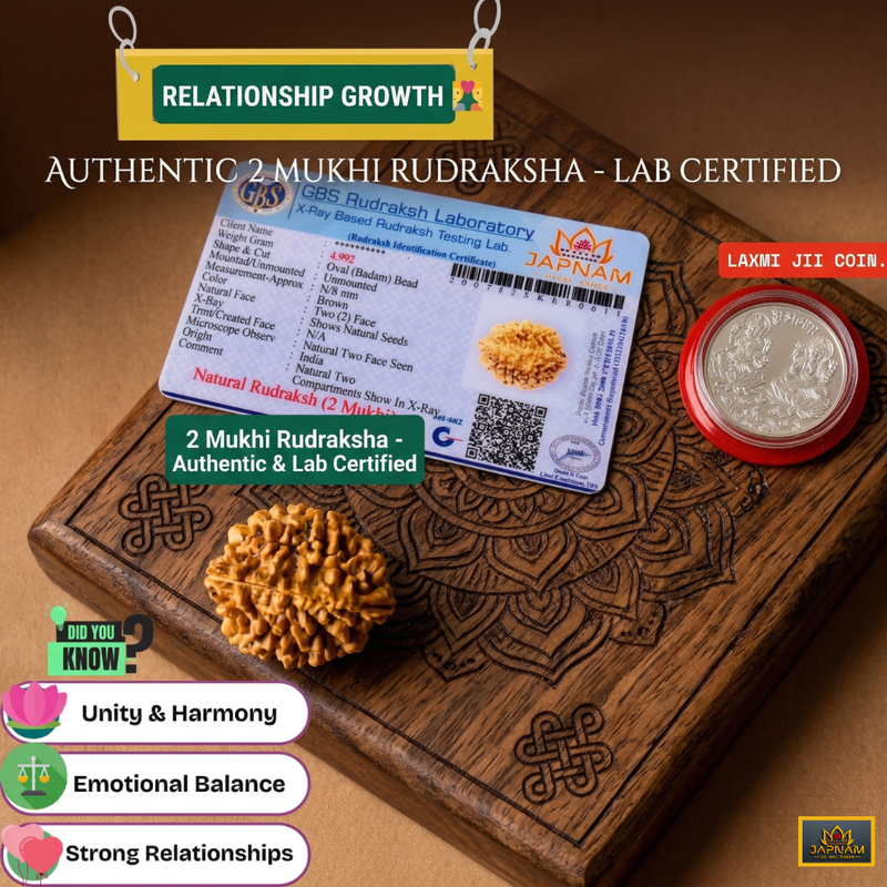 2 Mukhi Rudraksha (Original & Lab Certified) + 🎁 Gift – Laxmi Ji
