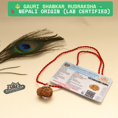 Gauri Shankar Rudraksha With (Lab Certified - Nepali origin) - Divine Fusion of Shiva & Shakti + 🎁Gift – Laxmi Ji Silver-Plated Coin