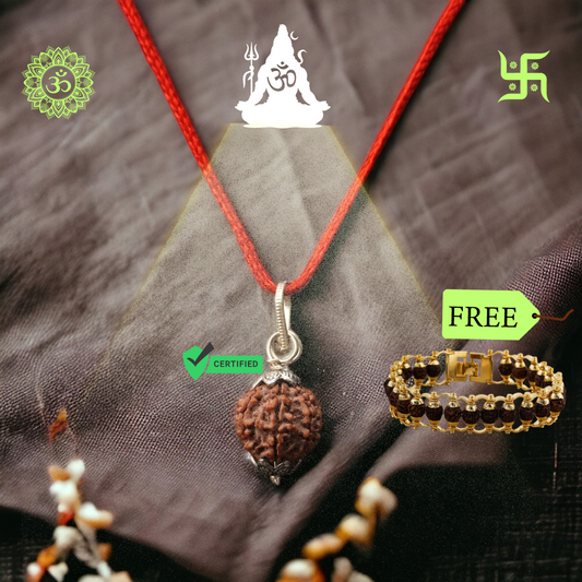 7 Mukhi Rudraksha With Lab Certified - Original + 𝐅𝐫𝐞𝐞 Modern 5 Mukhi Rudraksha Bracelet