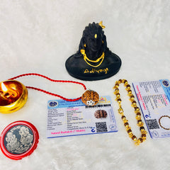 (Lab Certified & X-Ray Verified) 7 Mukhi Rudraksha + Modern 5 Mukhi Bracelet With Free 🎁 Laxmi jii Silver Plated Coin