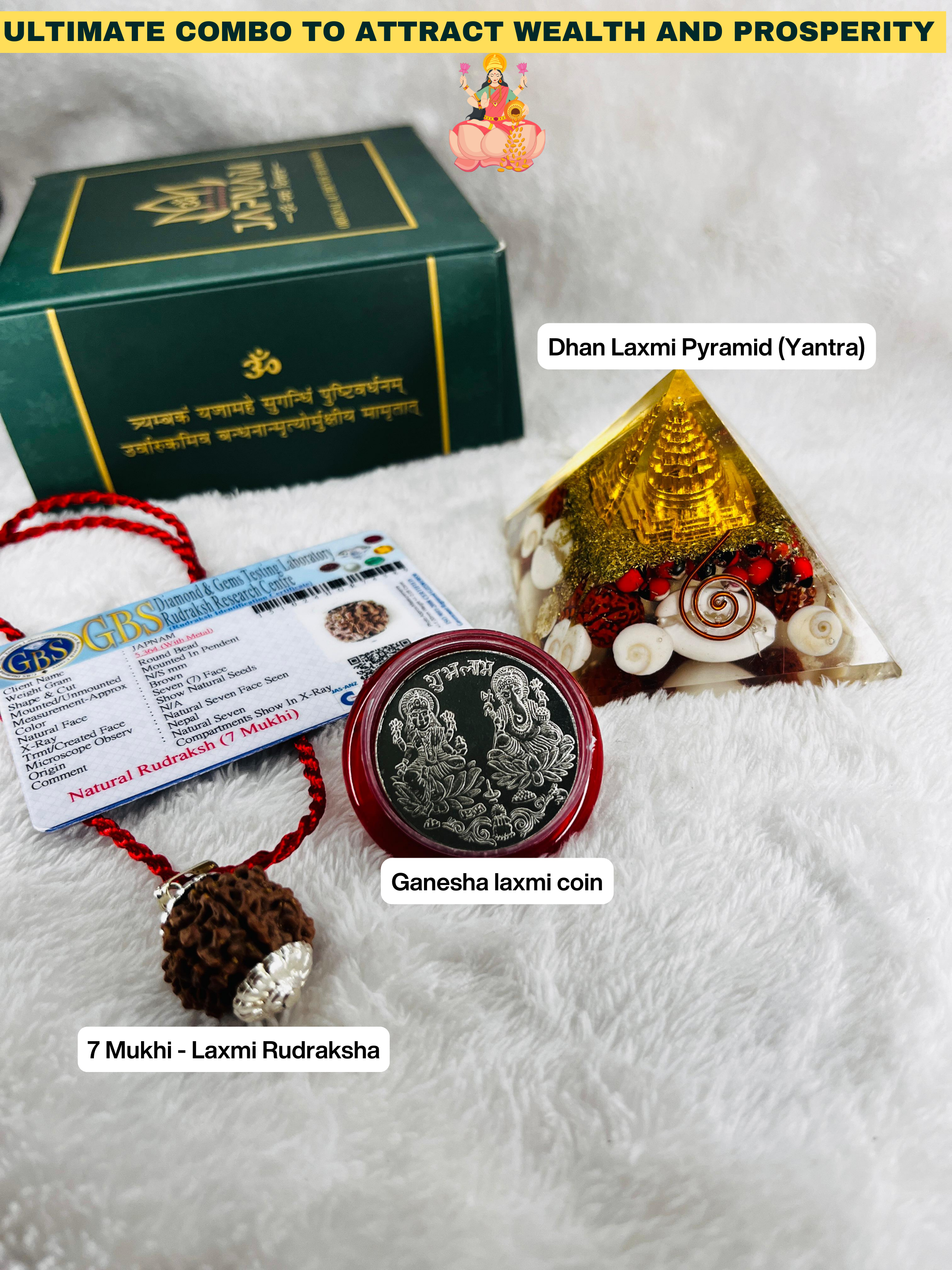 7 Mukhi Rudraksha With Lab Certified - Original +  Dhan Laxmi Pyramid Combo + 𝐅𝐫𝐞𝐞 🎁 Laxmi Ganesha Silver Plated Coin