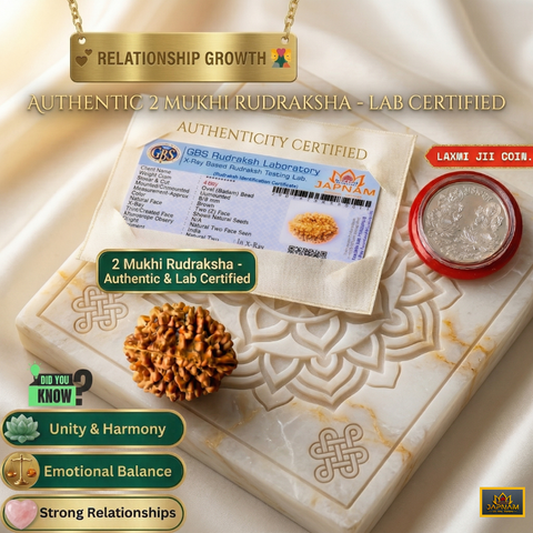 2 Mukhi Rudraksha (Original & Lab Certified) + 🎁 Gift – Laxmi Ji Silver-Plated Coin