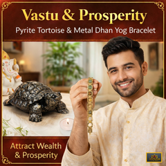 🐢 Vastu & Prosperity Pyrite Tortoise & Metal Dhan Yog Bracelet