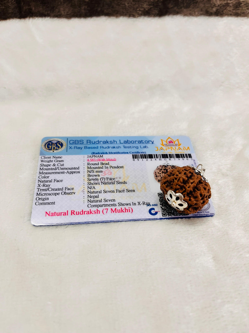 7 Mukhi Big size Rudraksha (lab certified - Nepali origin) +  Gift 🎁 Laxmi Silver Plated Coin