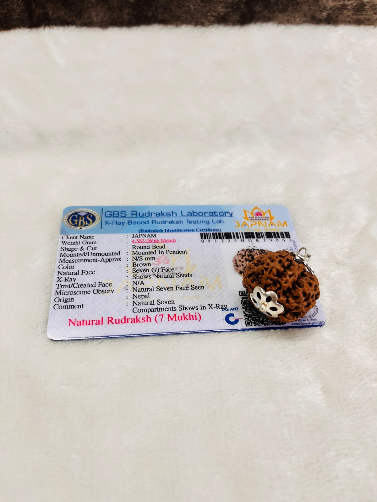 7 Mukhi Big size Rudraksha (lab certified - Nepali origin) +  Gift 🎁 Laxmi Silver Plated Coin