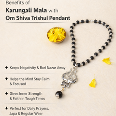 🌿 Karungali Mala with OM Trishool Pendant + Bracelet Combo (Lab Certified) + 🎁 Free Laxmi Silver-Plated Coin