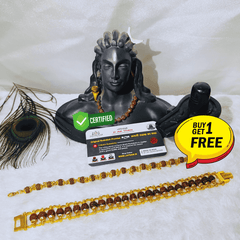 (1 +1+Gift) Golden Couple Rudraksha Designer Bracelets (5 Mukhi) - Elegant Combo with a Gift 🎁 Laxmi Silver Plated Coin💫