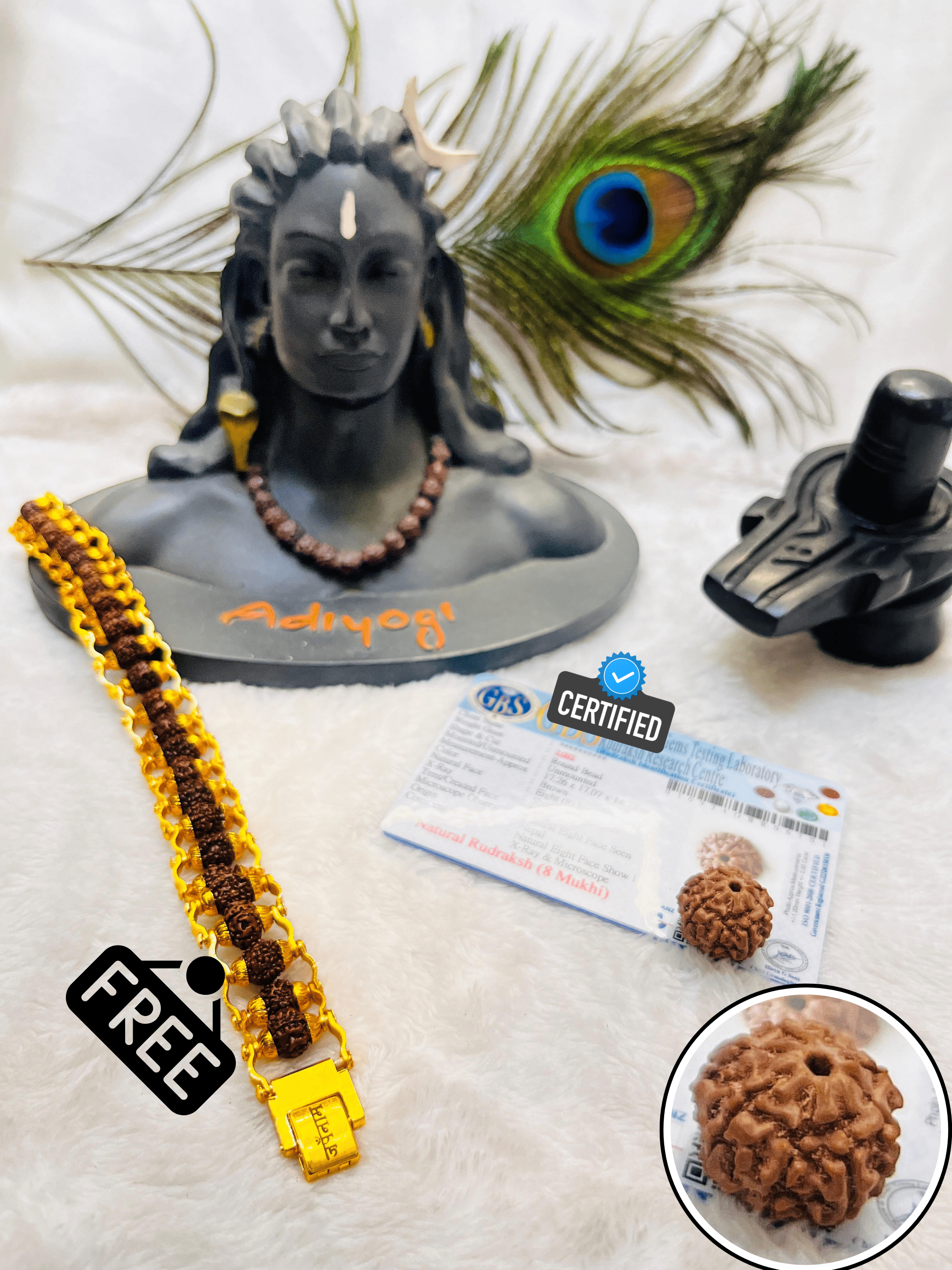 8 Mukhi Rudraksha With Lab Certified - Original +Free (Modern 5 Mukhi Rudraksha Bracelet) + Mysterious🎁Gift