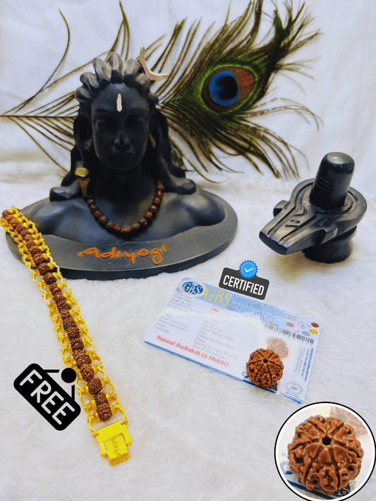 6 Mukhi Rudraksha With Lab Certified - Original + Free (Modern 5 Mukhi Rudraksha Bracelet) + Mysterious🎁Gift