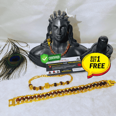 (1 +1+Gift) Golden Couple Rudraksha Designer Bracelets (5 Mukhi) - Elegant Combo with a Gift 🎁 Laxmi Silver Plated Coin💫