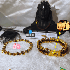 (1 +1+Gift) Golden Couple Rudraksha Designer Bracelets (5 Mukhi) - Elegant Combo with a Gift 🎁 Laxmi Silver Plated Coin💫