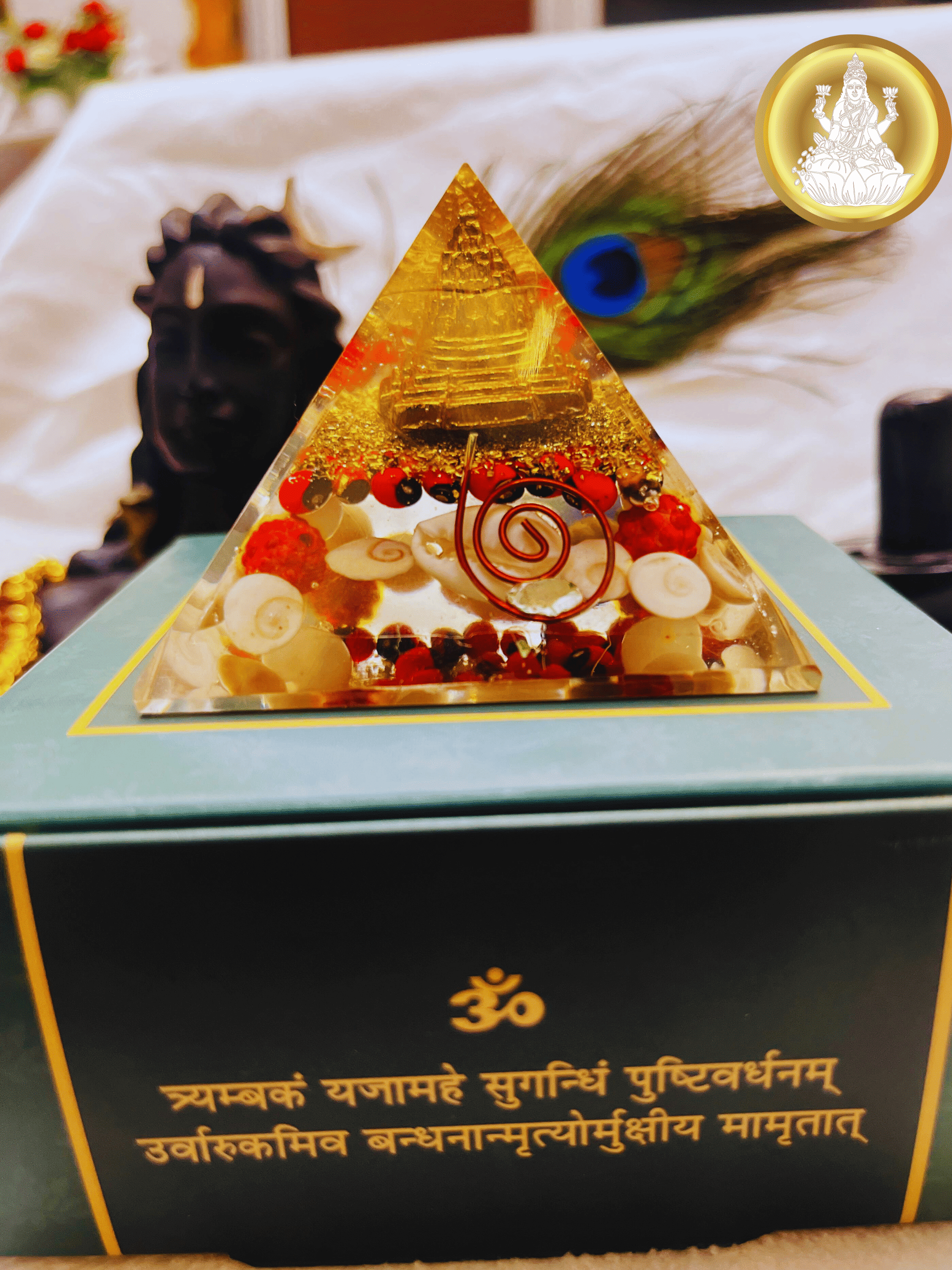 Dhan Laxmi Pyramid (For Wealth, Financial Stability and Prosperity) + Modern 5 Mukhi Rudraksha Bracelet + 𝐅𝐫𝐞𝐞 🎁 Laxmi Ganesha Silver Plated Coin