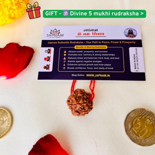 🐎 7 Horses on Raw Pyrite Frame + Gift [Om Trishool 🔱 Rudraksha Keyring – [Energized]