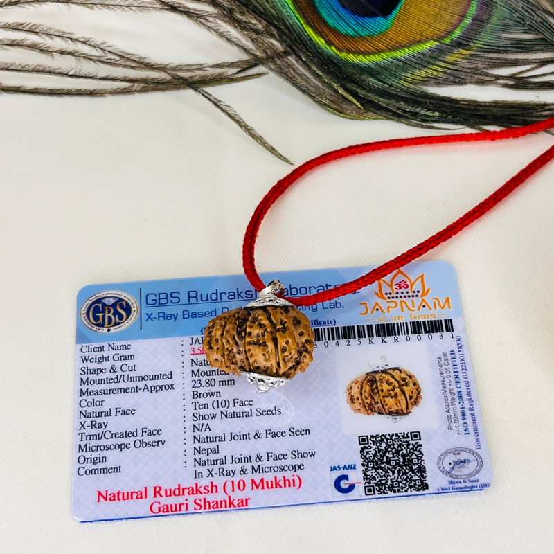 Gauri Shankar Rudraksha With (Lab Certified - Nepali origin) - Divine Fusion of Shiva & Shakti + 🎁Gift – Laxmi Ji Silver-Plated Coin