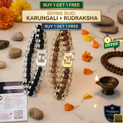 🌿BUY 1 GET 1 FREE : Karungali + Rudraksha (5 Mukhi) Modern Bracelets (Lab-Certified) 🔱✨+ Mysterious🎁Gift