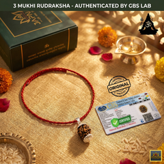 3 Mukhi Rudraksha With Lab Certified - Original +  FREE Divine Rudraksha Bracelet + 𝐅𝐫𝐞𝐞 🎁 Laxmi Ganesha Silver Plated Coin
