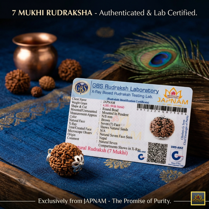 (1 +1+Gift) 7 Mukhi Rudraksha Combo + Divine 5 Mukhi Rudraksha Bracelet (Lab Certified) with Gift 🎁 Laxmi Silver Plated Coin