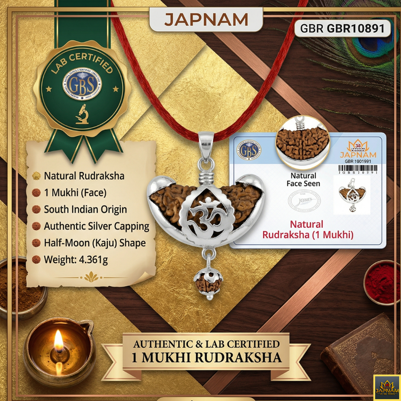 🌿 1 Mukhi Rudraksha (Original & Lab Certified) + 🪙 Gift – Laxmi Ji Silver-Plated Coin