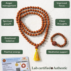 Original 5 Mukhi Rudraksha Jaap Mala 108 Beads (Lab tested) – Unlock Divine Energy! + Free Rudraksha Bracelet & Mysterious Gift!✨