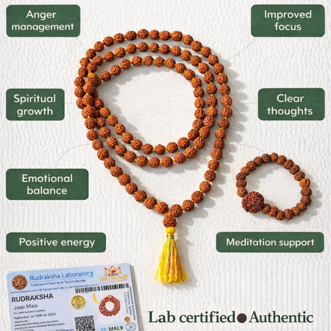 Original 5 Mukhi Rudraksha Jaap Mala 108 Beads (Lab tested) – Unlock Divine Energy! + Free Rudraksha Bracelet & Mysterious Gift!✨