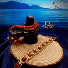 Gold Plated Essential 5 Mukhi Rudraksha Bracelet (Lab Certified) + Mysterious🎁Gift