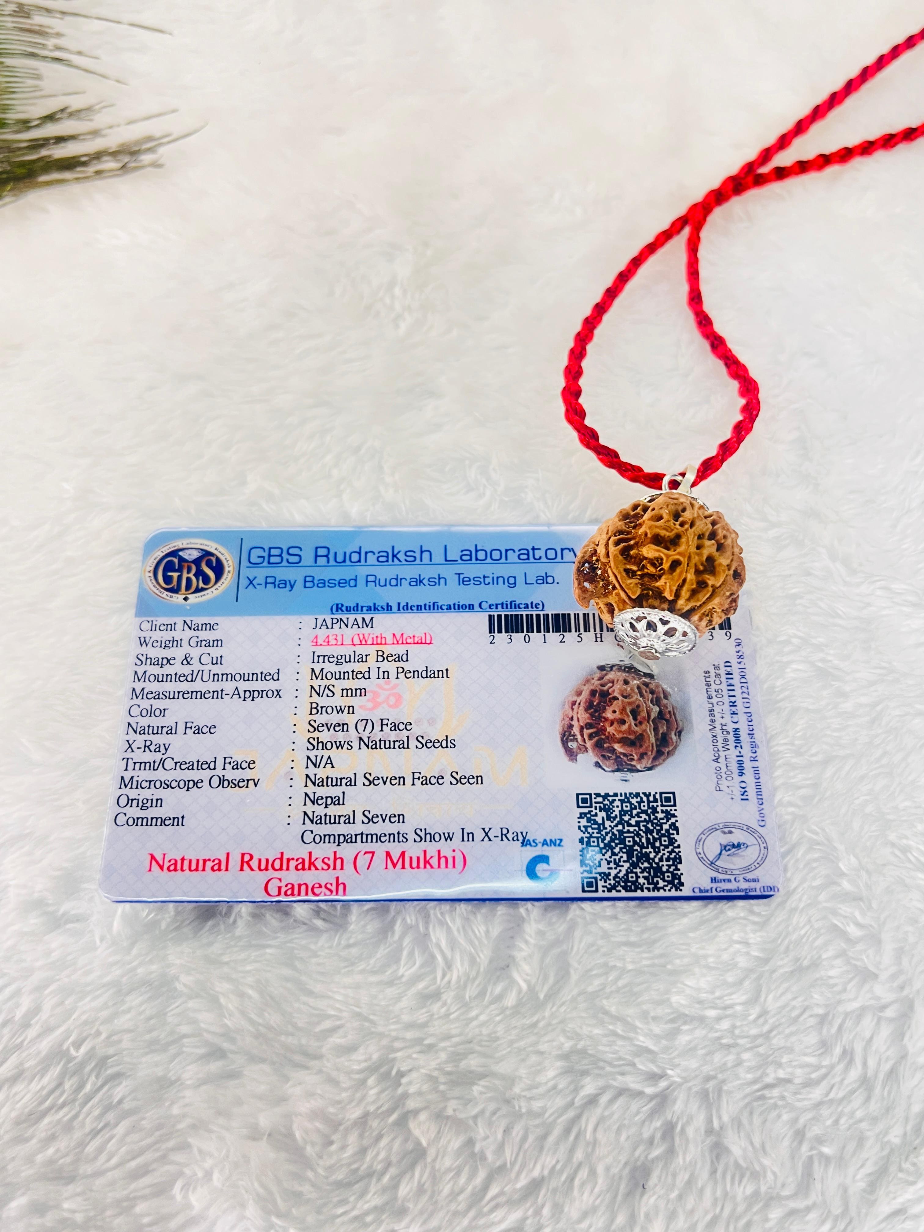 Ganesha Rudraksha (Lab certified) – Blessings of Wisdom & Success! 🚩 | FREE Modern Rudraksha Bracelet + Mysterious 🎁 Gift!