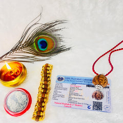 Ganesha Rudraksha (Lab certified - Nepali origin) | FREE Modern Rudraksha Bracelet + Mysterious 🎁 Gift!