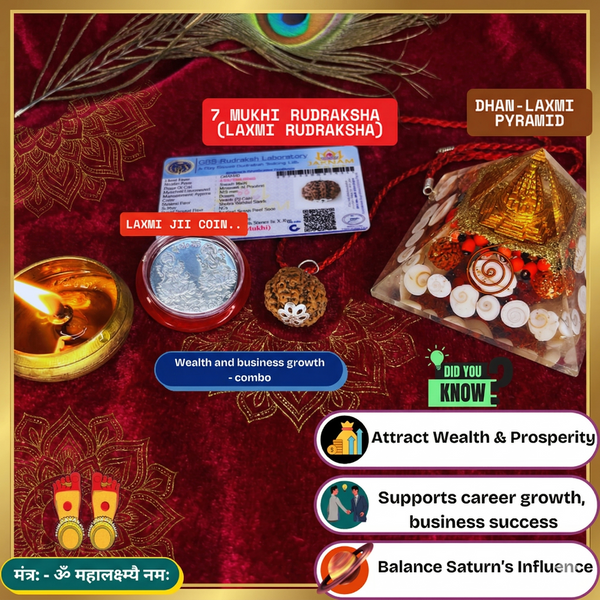 7 Mukhi Rudraksha With Lab Certified - Original +  Dhan Laxmi Pyramid Combo + 𝐅𝐫𝐞𝐞 🎁 Laxmi Ganesha Silver Plated Coin