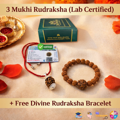 3 Mukhi Rudraksha With Lab Certified - Original +  FREE Divine Rudraksha Bracelet + 𝐅𝐫𝐞𝐞 🎁 Laxmi Ganesha Silver Plated Coin