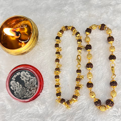 Gold Plated Elegant Rudraksha Bracelet for Women – (Buy 1 Get 1 Free + Mystery Gift!) Divine Style with Spiritual Benefits! ✨