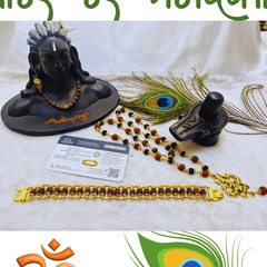 Rudraksha Crystal Trishool Mala + Free (Modern 5 Mukhi Rudraksha Bracelet) + Mysterious🎁Gift