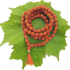 Original 5 Mukhi Rudraksha Jaap Mala 108 Beads (Lab tested) – Unlock Divine Energy! + Free Rudraksha Bracelet & Mysterious Gift!✨