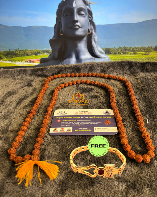Original 5 Mukhi Rudraksha Natural Brown Rudraksha Mala - 108 Beads + Mysterious🎁Gift